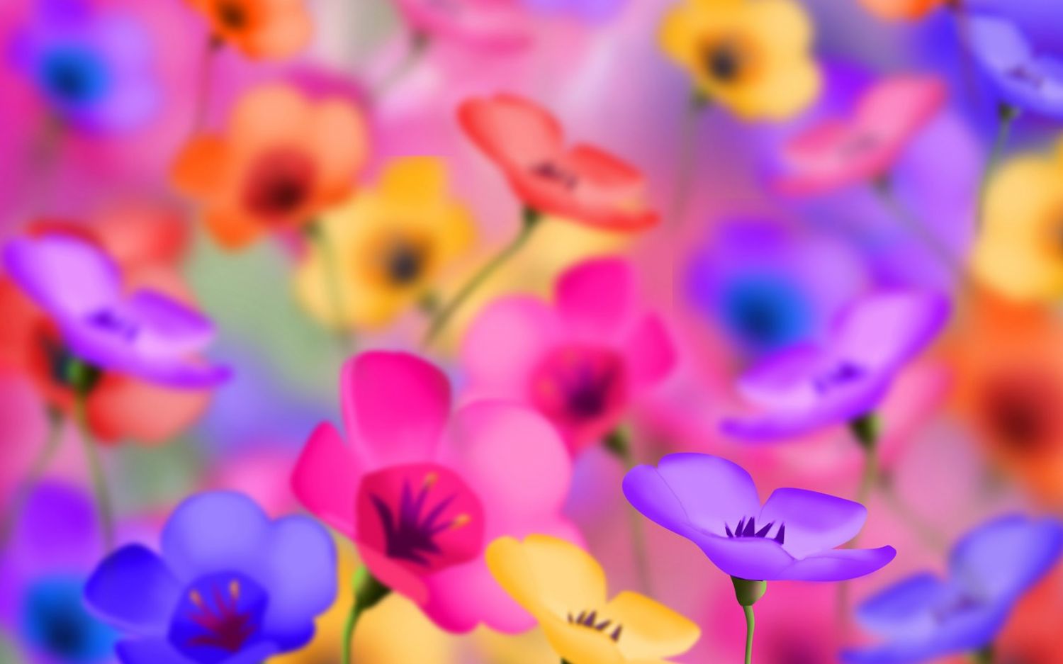 colorful-flower-hd-wallpaper-free.jpg