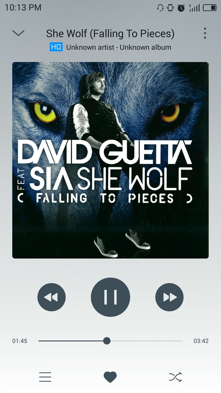 David Guetta - She Wolf (Falling To Pieces) ft. Sia