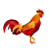 depositphotos_120389622-stock-illustration-vector-image-of-red-rooster.jpg